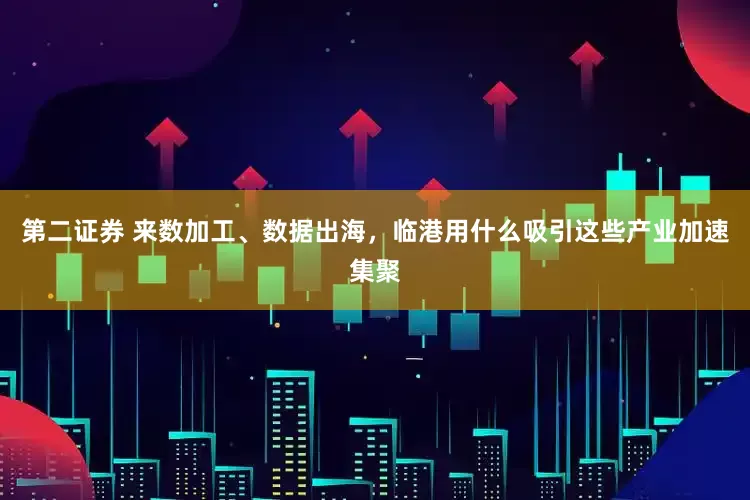 第二证券 来数加工、数据出海，临港用什么吸引这些产业加速集聚