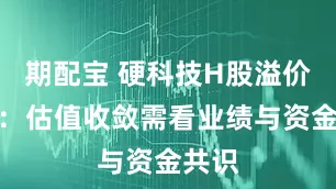 期配宝 硬科技H股溢价启示：估值收敛需看业绩与资金共识