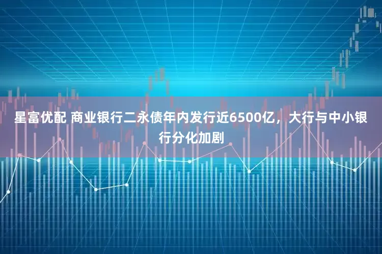 星富优配 商业银行二永债年内发行近6500亿，大行与中小银行分化加剧
